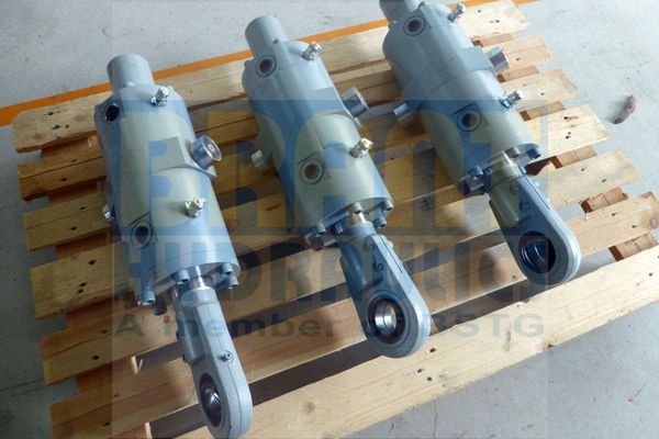 Servo Cylinder with Sensor Servo Cylinder with Sensor