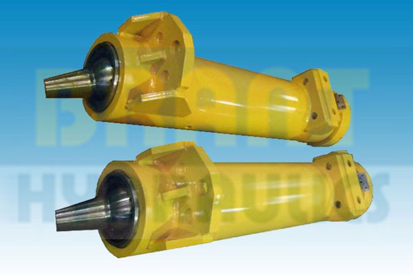 Customized hydraulic cylinder