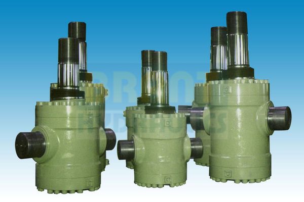 Customized hydraulic cylinder